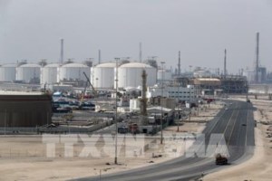 OPEC sẵn sàng hỗ trợ bình ổn thị trường dầu mỏ